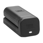 JBL Battery 200 image 0