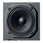 5.25-inch (130mm) Polymer-coated Pure Pulp cone midrange driver