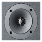 1-inch (25mm) Titanium dome tweeter mated to acoustic lens waveguide