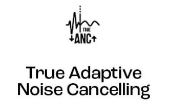 True Adaptive Noise Cancelling
