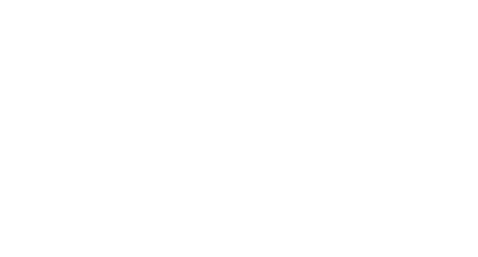 IMS Logo