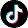 TikTok Icon